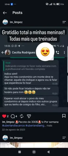 Faxina pesada completa com limpeza de vidros