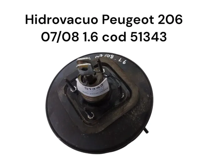 Hidrovacuo peugeot 206