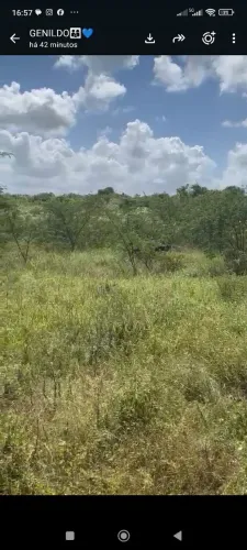 Vende-se um terreno com 19 tarefa de terra em Tobias Barreto