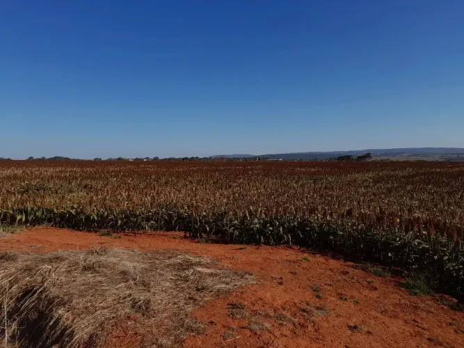Fazenda à venda, Setor Central, Piracanjuba, GO
