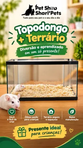 Terrário + topodongo