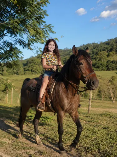 cavalos