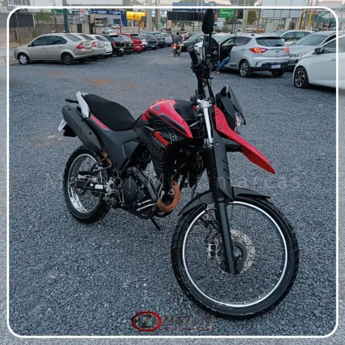 XTL Lander 250 Flex 2023