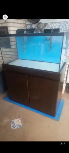 Aquário de 170 litros