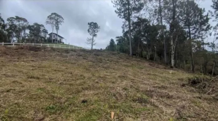 Terreno de tamanho de 1 hectar com escritura a venda em Anitápolis SC