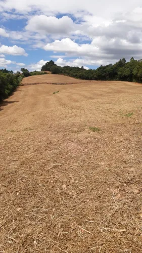 Terreno para planta ou formação de chácara