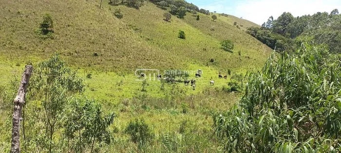 SÍTIO SERRA DA BOCAINA LAZER/GADO/TURISMO SILVEIRAS - SP