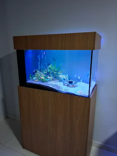 Aquario 200L - 8mm sump lateral plantado Low tech completo seminovo (8 meses)