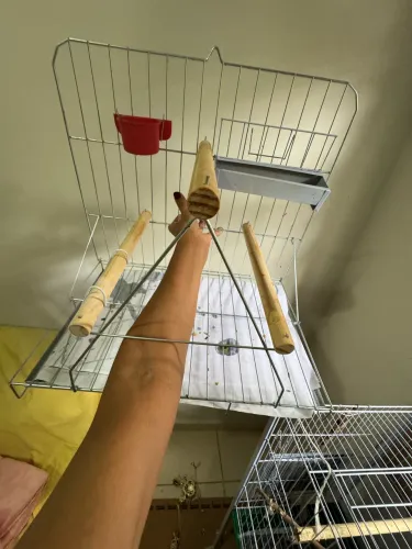 Vendo gaiola para papagaio no precinho!