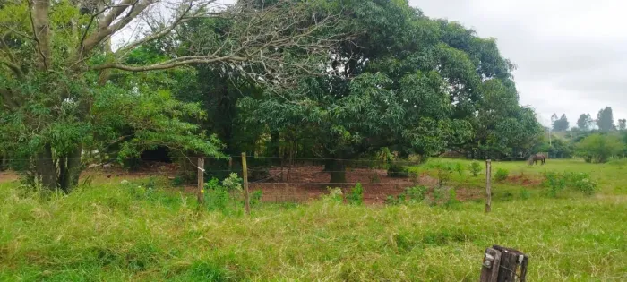 TERRENO CHÁCARA 10.000,00m² PARANAVAÍ/ PARANÁ