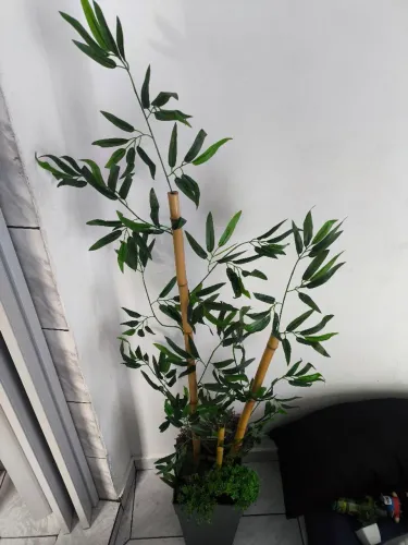 Planta de Bambu Artificial 1,50Metros + 2 Plantas Bonsai artificiais 