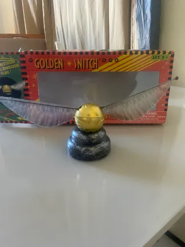 Card 3D e pomo HP