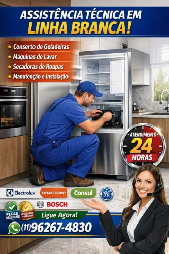 Assistência Técnica Electrolux Geladeira Zona Norte SP
