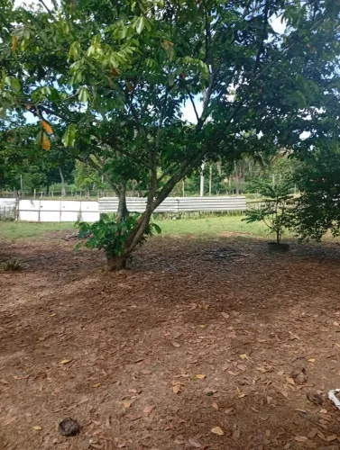Vende-se excelente terreno de 1.110 m² (30 x 37 m)