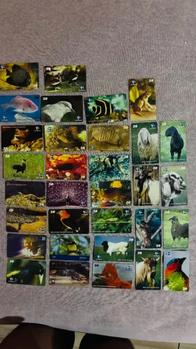 Lote 32 Cartões Telefônicos Telemar Animais - Aves, Peixes, Bodes, Répteis - Fauna Brasile