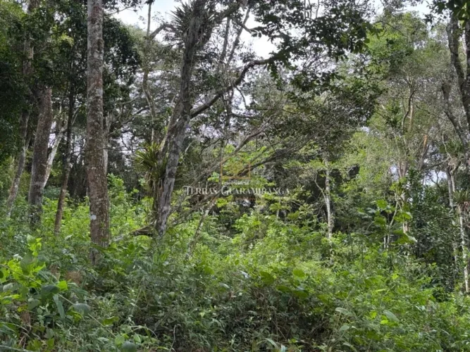 LINDO TERRENO EM MULUNGU