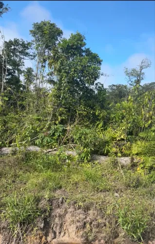 Vendo ou troco terreno Itapoá Rainha