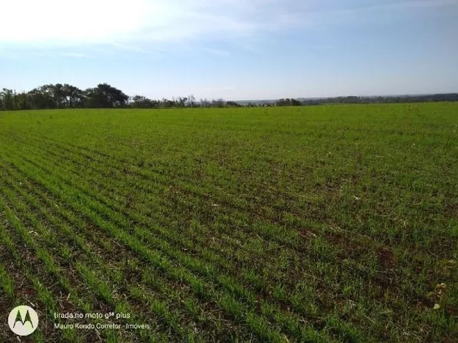 Lote 61.486,96 m2 no perímetro urbano em Ibiporã, 500,00 metros asfalto