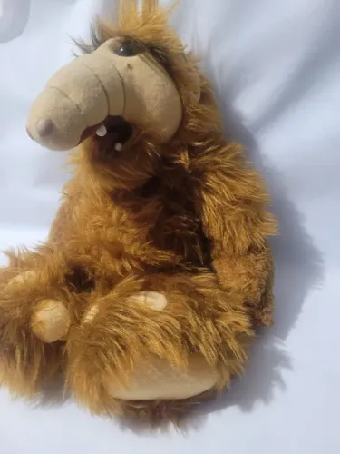 Boneco of teimoso