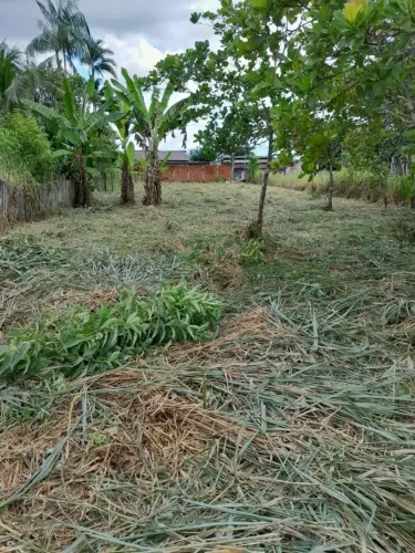 Terreno à venda 20 x 60mts, local plano, rua asfaltada.