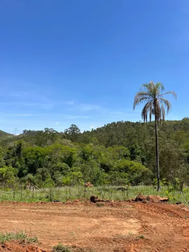 * Lotes valor de Lançamento