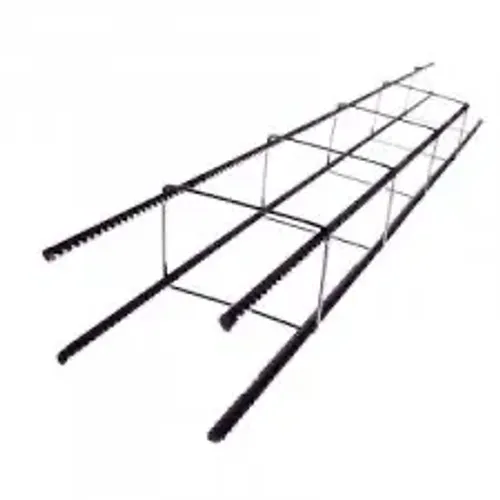 Esqueleto de ferro 8