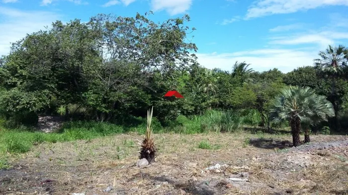 Terreno em ótima localização da BR -116