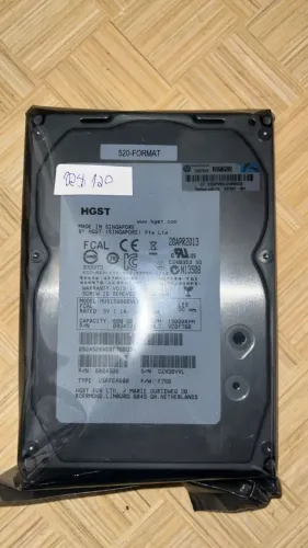 HGST HD 600 GB 