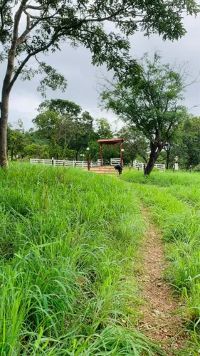Fazenda a venda no município de URUAÇU Goiás
