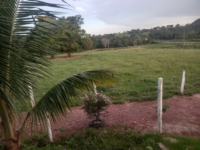 Vendo Fazenda 125 hectares