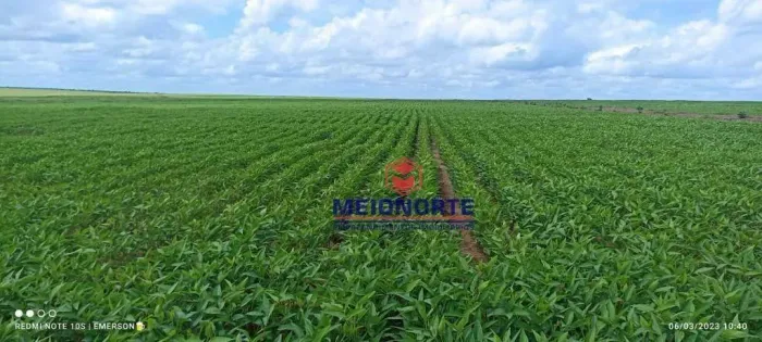 Fazenda com 1 dormitório à venda, m² por R$ 100.000.000,00 - Santa Filomena - Santa Filom
