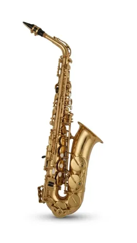 Saxofone Dolphin