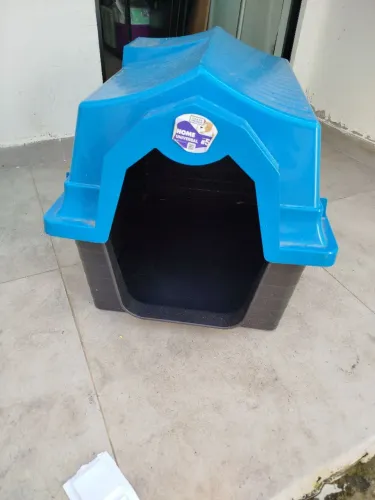 Casinha de cachorro