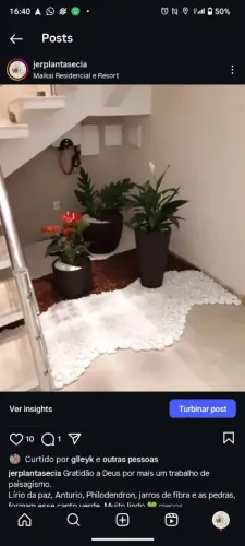 Jardinagem e paisagismo 