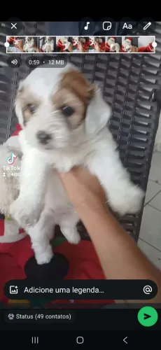 Promoção