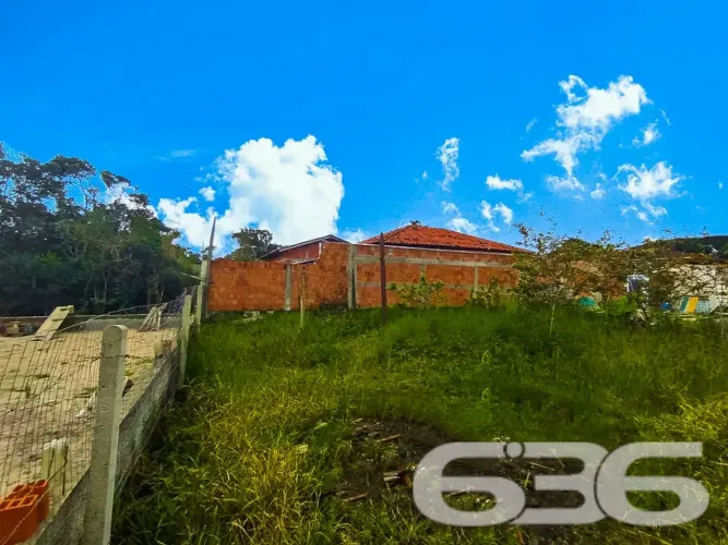Terreno | São Francisco do Sul | Ervino
