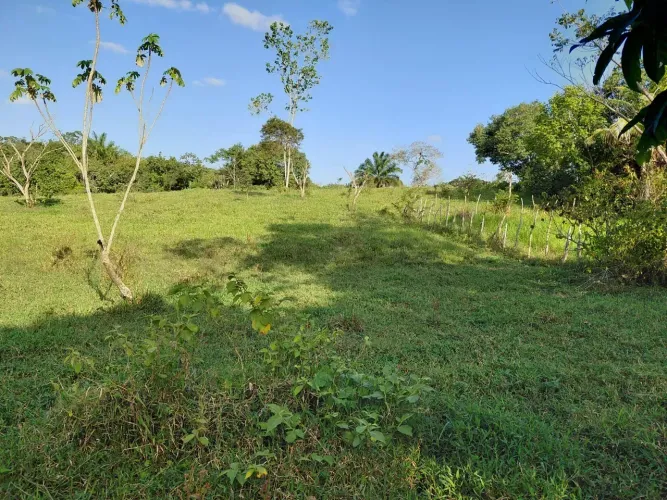 Sítio à venda Candeias/BA (Distrito de Caruaçu)