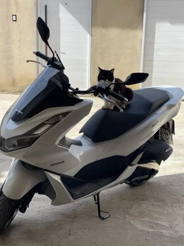Honda PCX 160 2024
