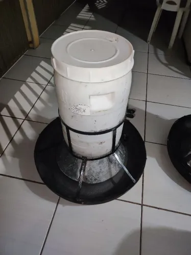 Comedouro automáticos para Suinos