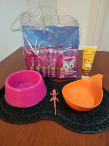Ração saches para gato. Pratos para pet. Tapete pet. Kit pratos + sachês+ tapete + Brinde
