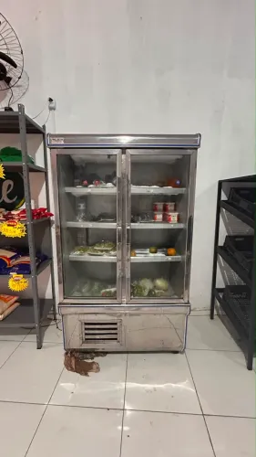 Freezer vertical 2 porta