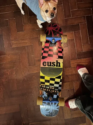 Skate long board 