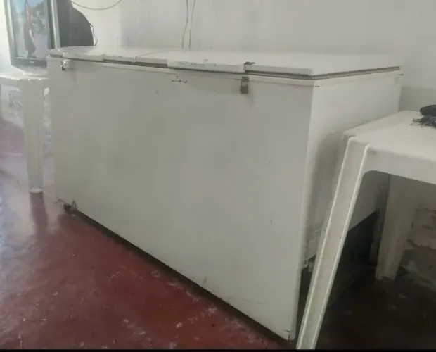 Frezer Eletrolux 540 litros 2 portas em excelente estado, funcionando perfeitamente, Valor