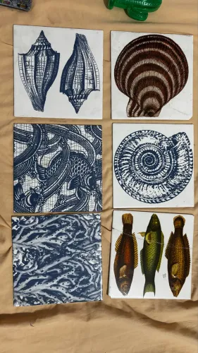 Azulejos decorativos industriais ou de marcas de revestimento