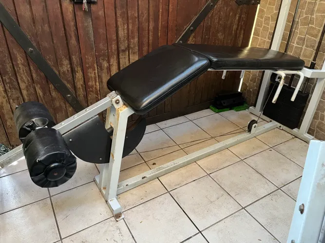 Mesa Flexora