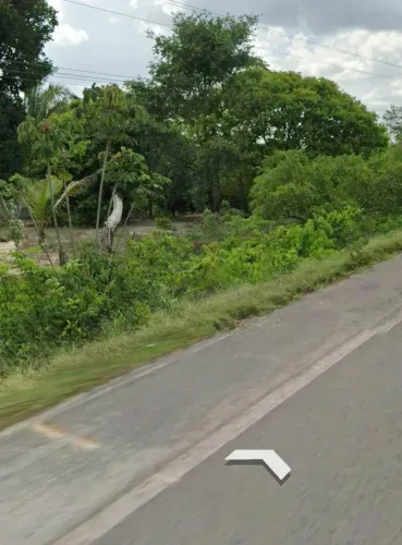 Vendo área na br de 50 hectares próxima a Morros MA