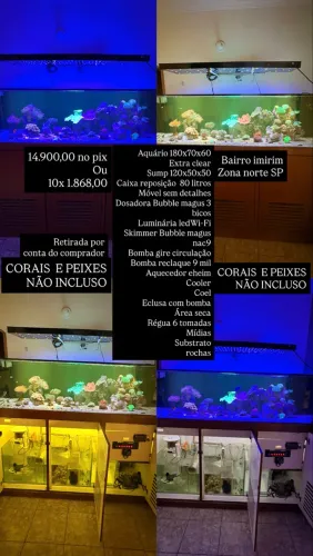 Aquário grande marinho