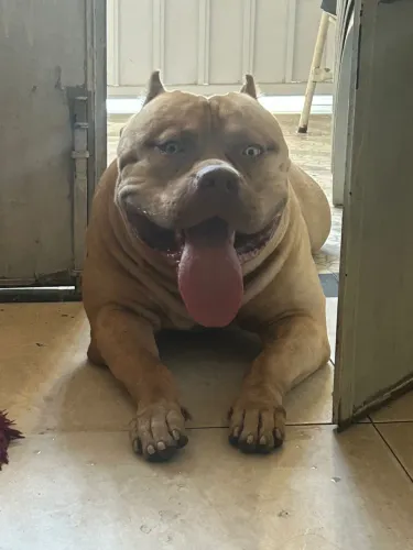 Disponível pra cruzar