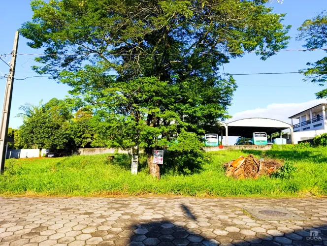 Terreno à venda em Santo Antônio - Criciúma