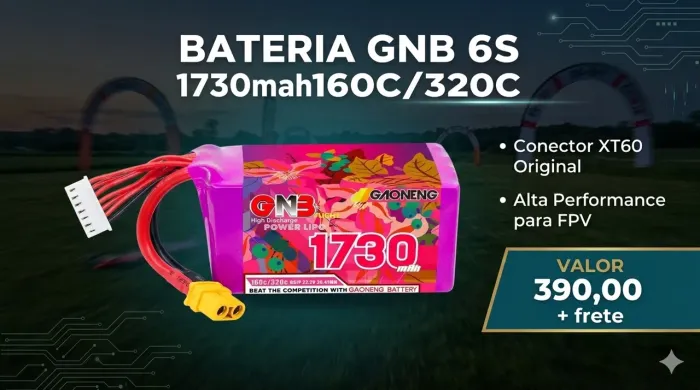 Bateria Lipo GNB 6S 1730mah 160c/320c